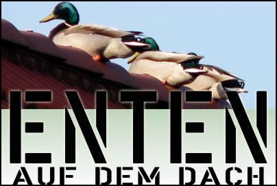 enten