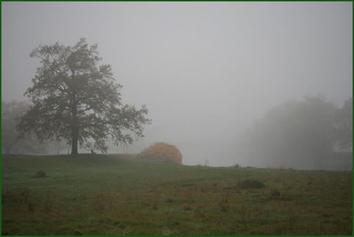 mulde und nebel