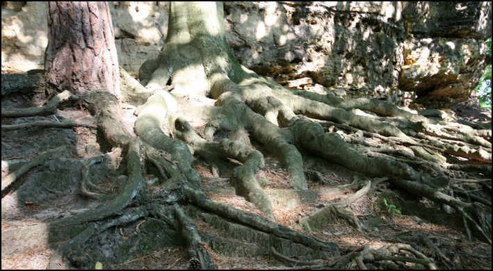 05082015_tschechien2