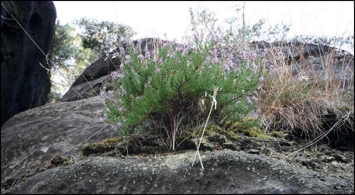 05082015_tschechien3