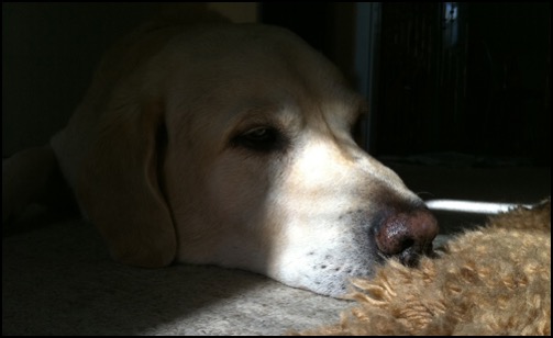 28022013_erinnerungChef