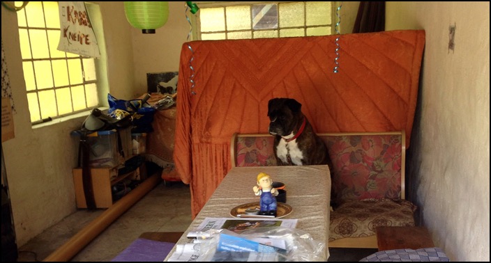 polenreise17082014_1