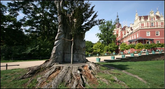 polenreise17082014_2