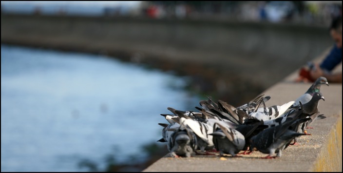 polenreise19082014_7