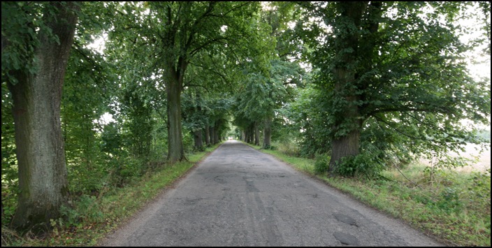 polenreise21082014_9