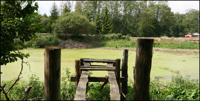 polenreise22082014_2