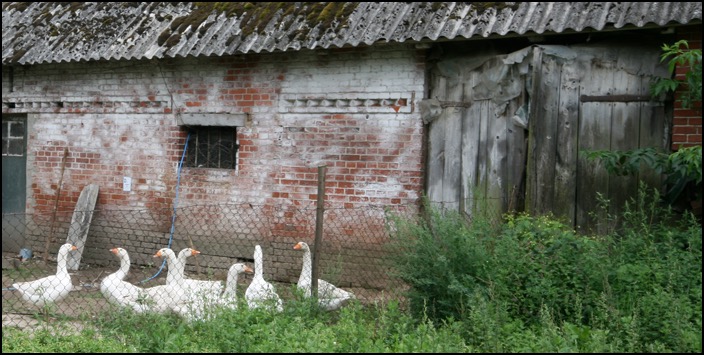 polenreise22082014_5