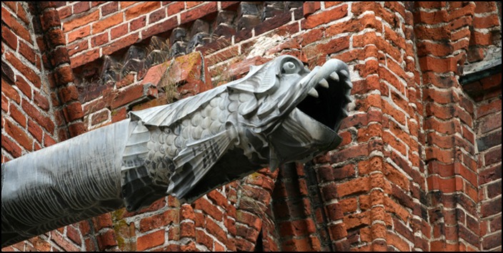 polenreise23082014_5