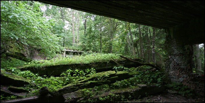 polenreise24082014_2