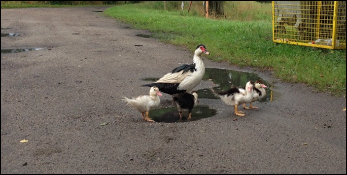 polenreise24082014_4