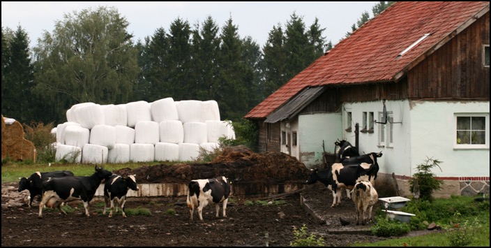 polenreise24082014_6