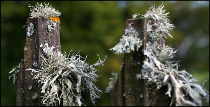 polenreise25082014_4