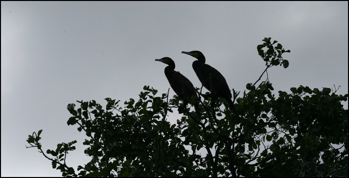 polenreise26082014_2