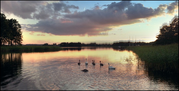 polenreise26082014_5